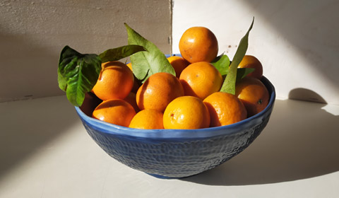 Piezas-Adultos-03 piezas varias de cerámica hechas a mano